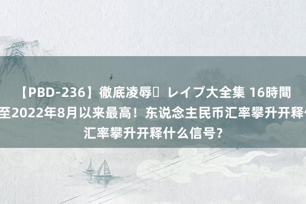 【PBD-236】徹底凌辱・レイプ大全集 16時間 第2集 升至2022年8月以来最高！东说念主民币汇率攀升开释什么信号？
