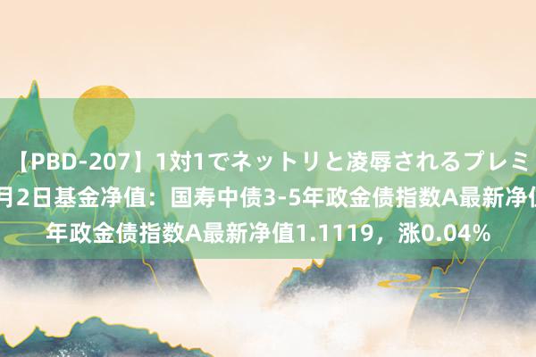 【PBD-207】1対1でネットリと凌辱されるプレミア女優たち 8時間 8月2日基金净值：国寿中债3-5年政金债指数A最新净值1.1119，涨0.04%