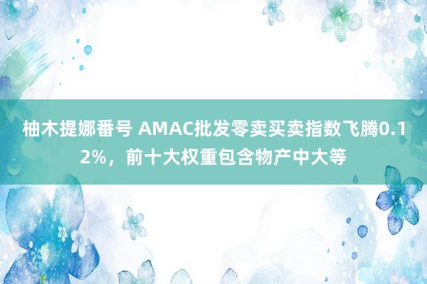 柚木提娜番号 AMAC批发零卖买卖指数飞腾0.12%，前十大权重包含物产中大等