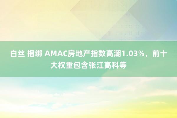 白丝 捆绑 AMAC房地产指数高潮1.03%，前十大权重包含张江高科等