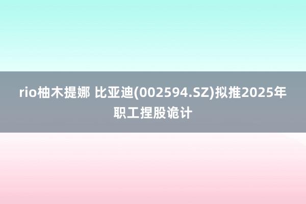 rio柚木提娜 比亚迪(002594.SZ)拟推2025年职工捏股诡计