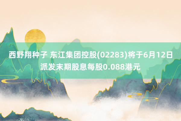 西野翔种子 东江集团控股(02283)将于6月12日派发末期股息每股0.088港元