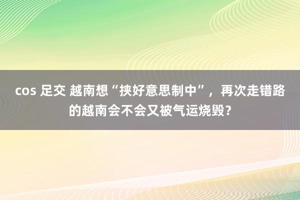 cos 足交 越南想“挟好意思制中”，再次走错路的越南会不会又被气运烧毁？