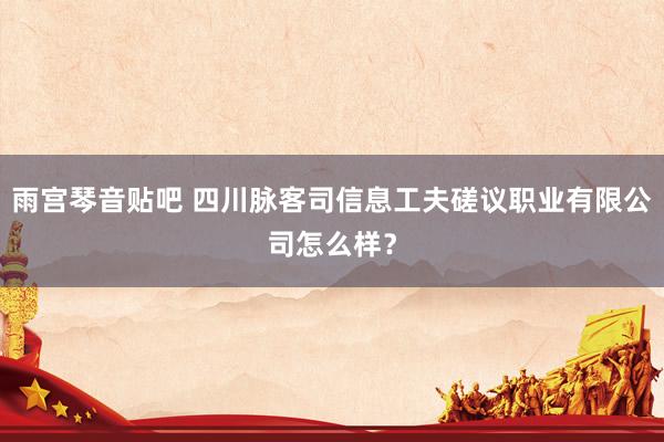 雨宫琴音贴吧 四川脉客司信息工夫磋议职业有限公司怎么样？
