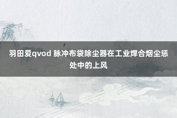 羽田爱qvod 脉冲布袋除尘器在工业焊合烟尘惩处中的上风