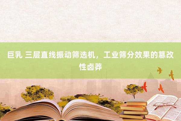 巨乳 三层直线振动筛选机，工业筛分效果的篡改性卤莽