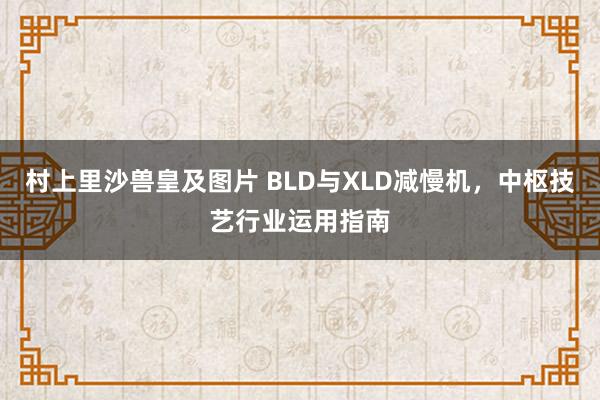 村上里沙兽皇及图片 BLD与XLD减慢机，中枢技艺行业运用指南
