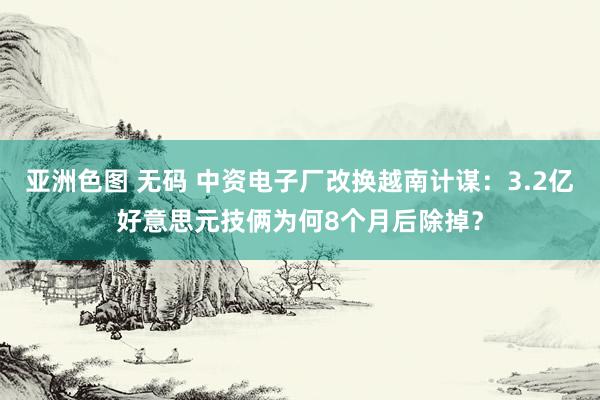 亚洲色图 无码 中资电子厂改换越南计谋：3.2亿好意思元技俩为何8个月后除掉？