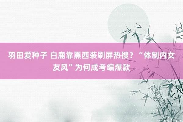 羽田爱种子 白鹿靠黑西装刷屏热搜？“体制内女友风”为何成考编爆款