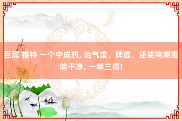 巨屌 推特 一个中成药, 治气虚、脾虚、还能将潮湿除干净, 一举三得!