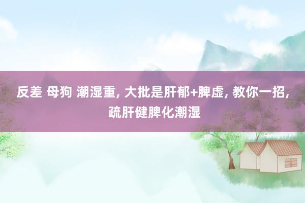 反差 母狗 潮湿重, 大批是肝郁+脾虚, 教你一招, 疏肝健脾化潮湿