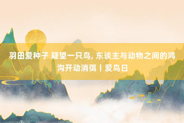 羽田爱种子 疑望一只鸟, 东谈主与动物之间的鸿沟开动消弭丨爱鸟日