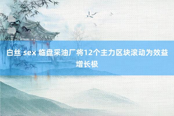 白丝 sex 临盘采油厂将12个主力区块滚动为效益增长极