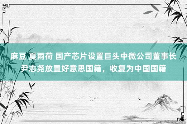 麻豆 夏雨荷 国产芯片设置巨头中微公司董事长尹志尧放置好意思国籍，收复为中国国籍
