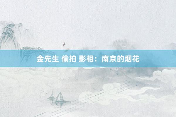 金先生 偷拍 影相：南京的烟花