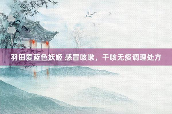 羽田爱蓝色妖姬 感冒咳嗽，干咳无痰调理处方