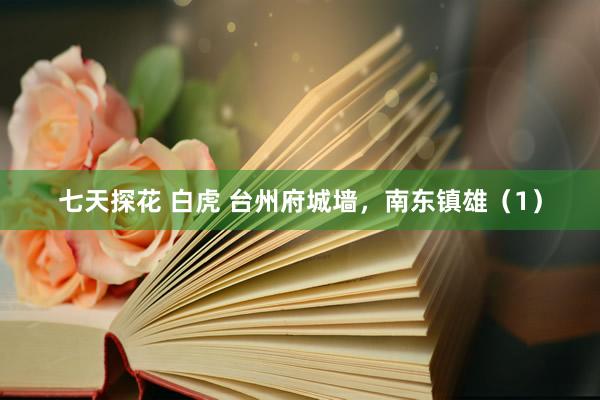 七天探花 白虎 台州府城墙，南东镇雄（1）