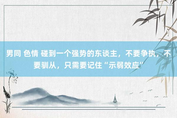 男同 色情 碰到一个强势的东谈主，不要争执，不要驯从，只需要记住“示弱效应”