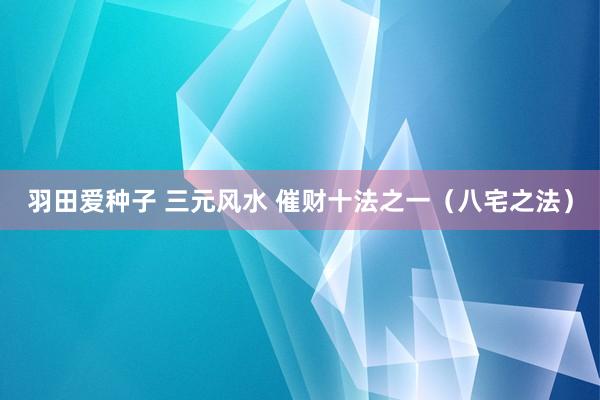羽田爱种子 三元风水 催财十法之一（八宅之法）