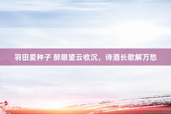 羽田爱种子 醉眼望云收沉，诗酒长歌解万愁