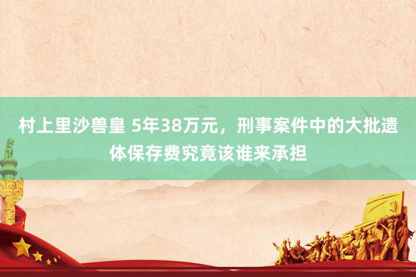村上里沙兽皇 5年38万元，刑事案件中的大批遗体保存费究竟该谁来承担