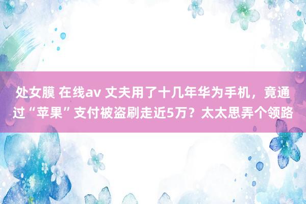 处女膜 在线av 丈夫用了十几年华为手机，竟通过“苹果”支付被盗刷走近5万？太太思弄个领路